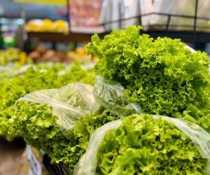 Imagem do WhatsApp de 2025-06-16 à(s) 10.26.33_54f7f110 Imagem do WhatsApp de 2025-06-16 à(s) 10.26.33_54f7f110